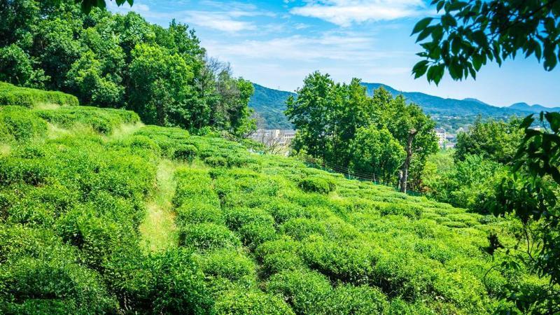 Meilu Legend Hotel Ханджоу Екстериор снимка
